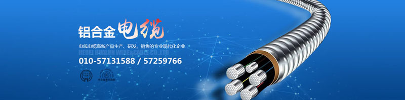 滄州市統(tǒng)計(jì)工作規(guī)范化建設(shè)推進(jìn)會(huì)在華倫公司順利召開！